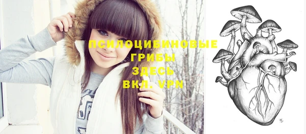 apvp Белокуриха