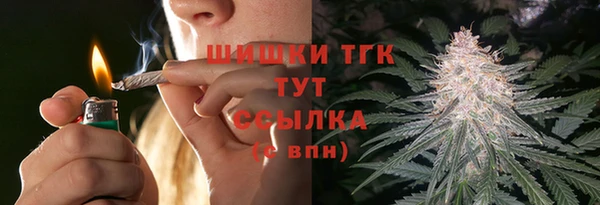 apvp Белокуриха