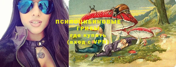 apvp Белокуриха