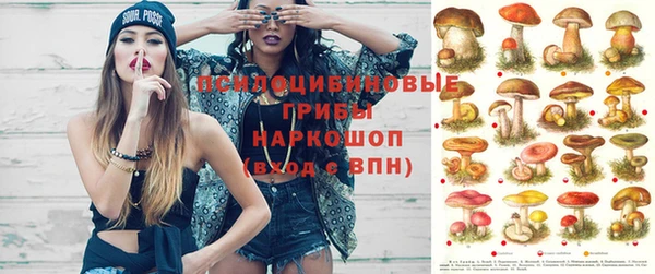 метадон Беломорск